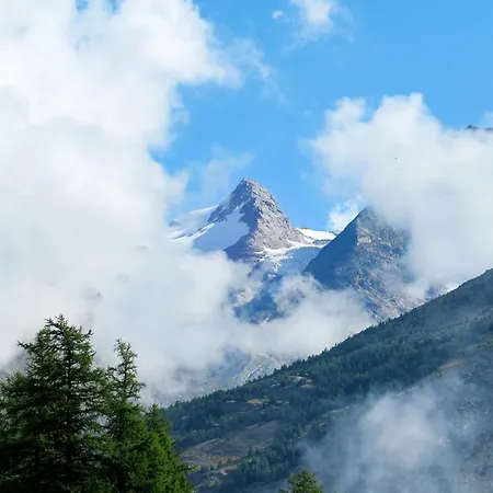 Achat Appartement-fewo 4-bettwohnung Nr- 3 By Interhome * Saas-Fee